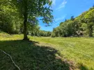 Waldgrundstück 8,2 ha in Felsőszölnök, Őrség – Oberes Szölnök, foto 28 van 40