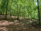 Waldgrundstück 8,2 ha in Felsőszölnök, Őrség – Oberes Szölnök, foto 31 van 40