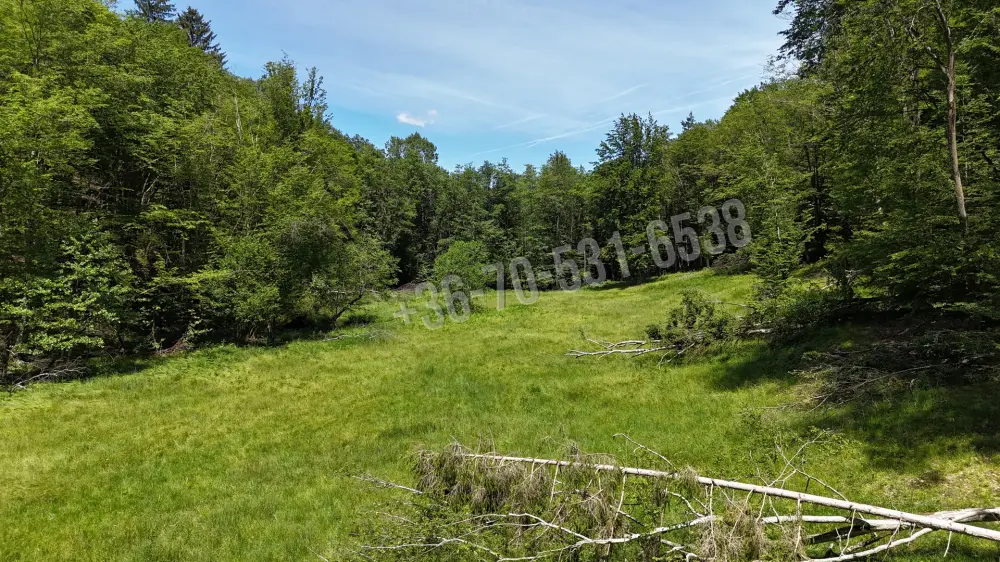 Waldgrundstück 8,2 ha in Felsőszölnök, Őrség – Oberes Szölnök, foto 39 van 40