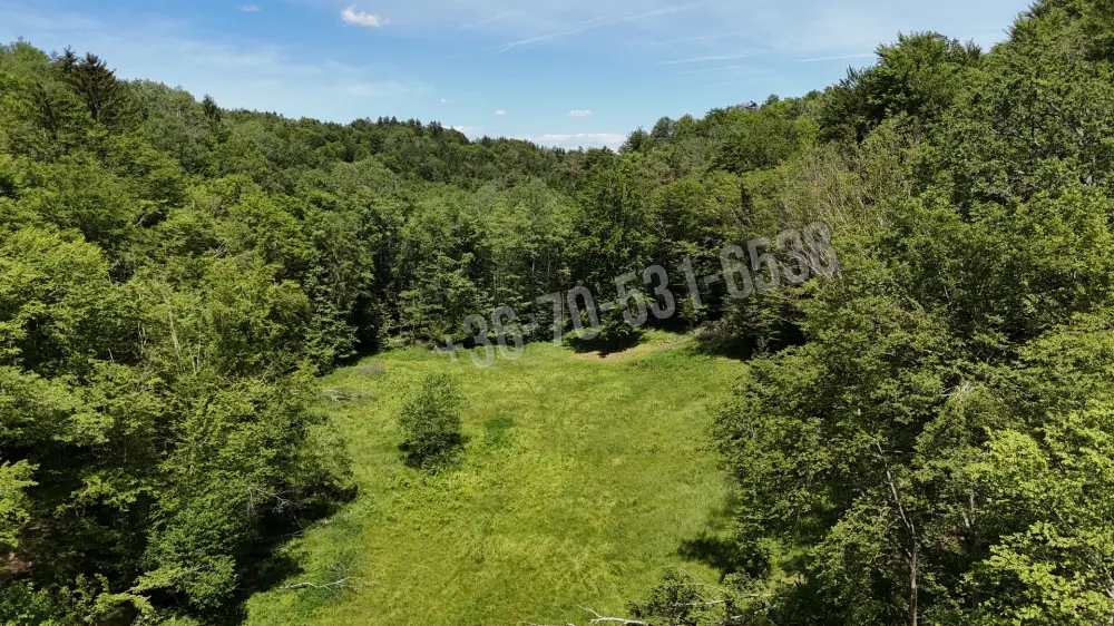 Waldgrundstück 8,2 ha in Felsőszölnök, Őrség – Oberes Szölnök, foto 40 van 40