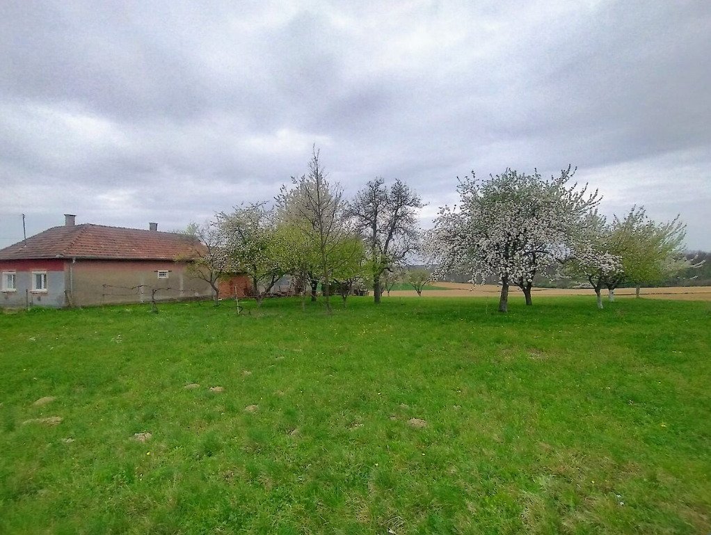 (BBA) Familienhaus in ruhiger Gegend von Westungarn – Kozmadombja, Bild 19 von 21