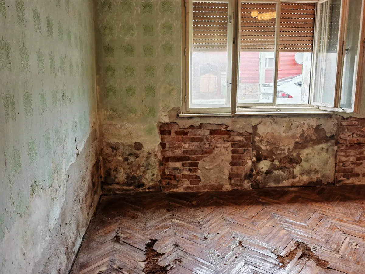(BCA) Sanierungsbedürftiges Landhaus mit 2.728 m² Grundstück nahe Slowenien – Tornyiszentmiklós, photo 13 of 20
