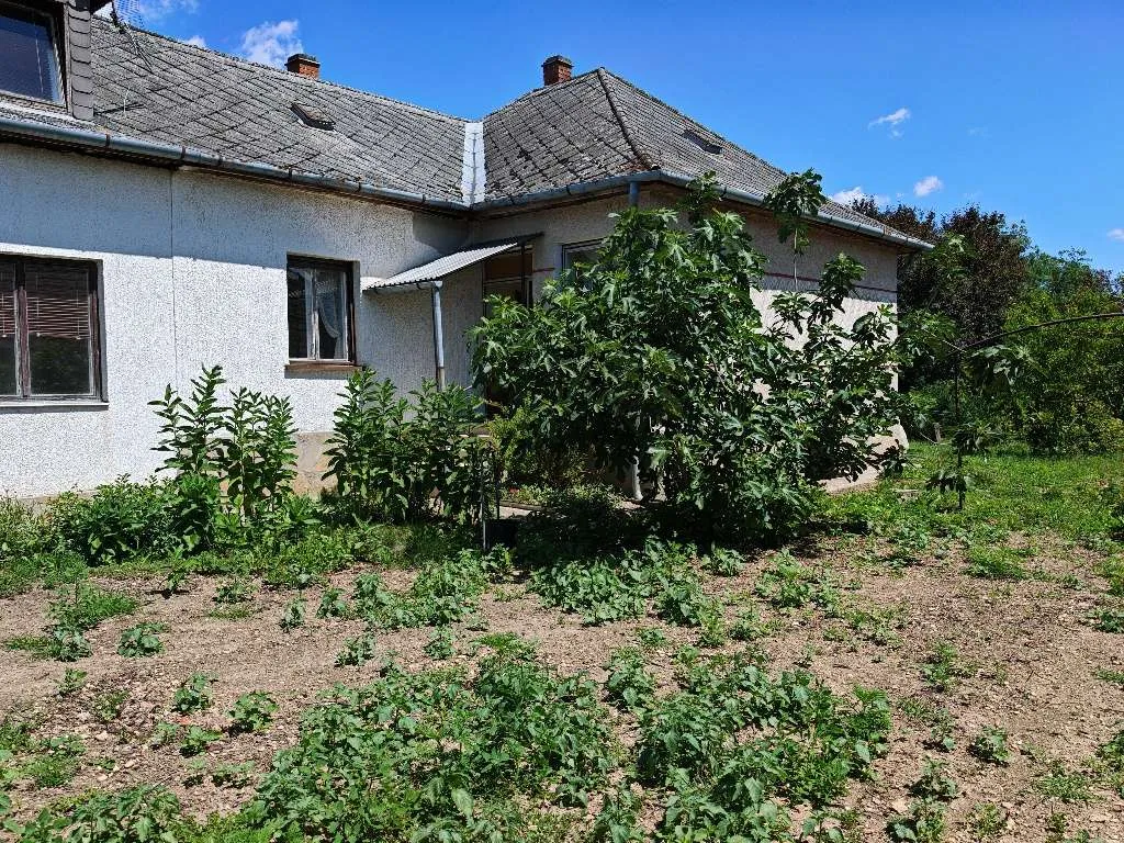 (BCA) Zweifamilienhaus nahe der ungarisch-österreichischen Grenze im Nationalpark – Szőce, photo 3 of 22