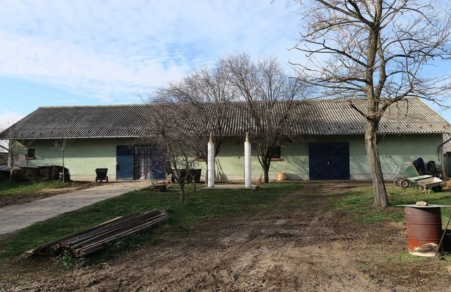 (AAA) Lófarm vendégapartmanokkal és 30 hektár földdel – bei Kiskunfélegyháza, 6/64. kép