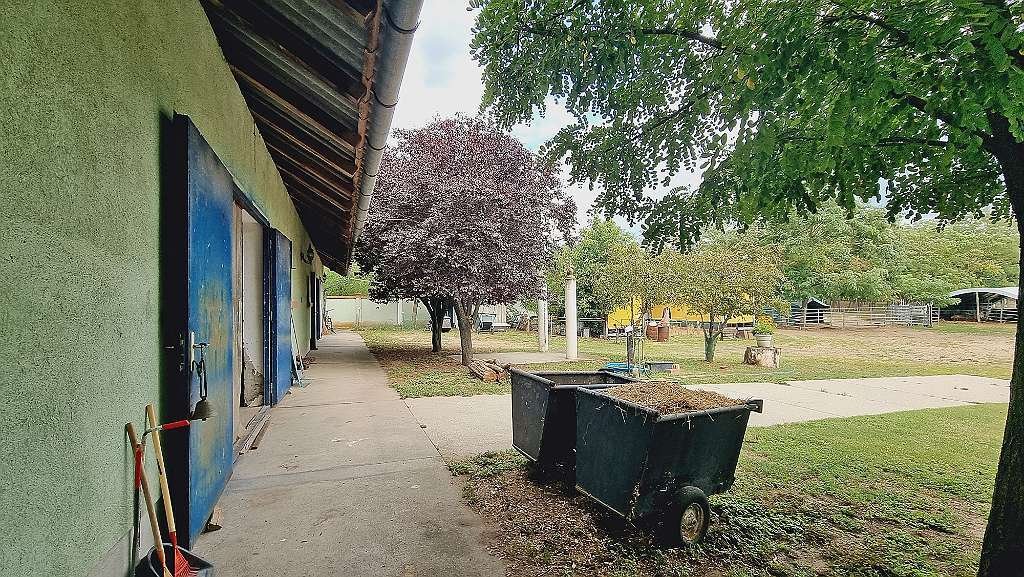 (AAA) Lófarm vendégapartmanokkal és 30 hektár földdel – bei Kiskunfélegyháza, 46/64. kép