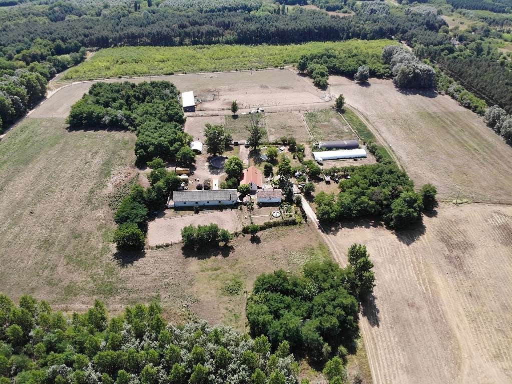 (AAA) Lófarm vendégapartmanokkal és 30 hektár földdel – bei Kiskunfélegyháza, 64/64. kép