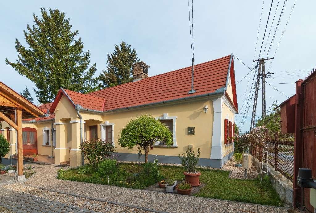 Lovingly renovated farmhouse in a quiet location with separate apartment (AAA) – Búcsúszentlászló, photo 1 of 42