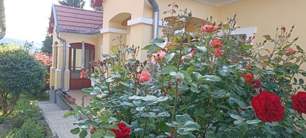 Lovingly renovated farmhouse in a quiet location with separate apartment (AAA) – Búcsúszentlászló, photo 7 of 42