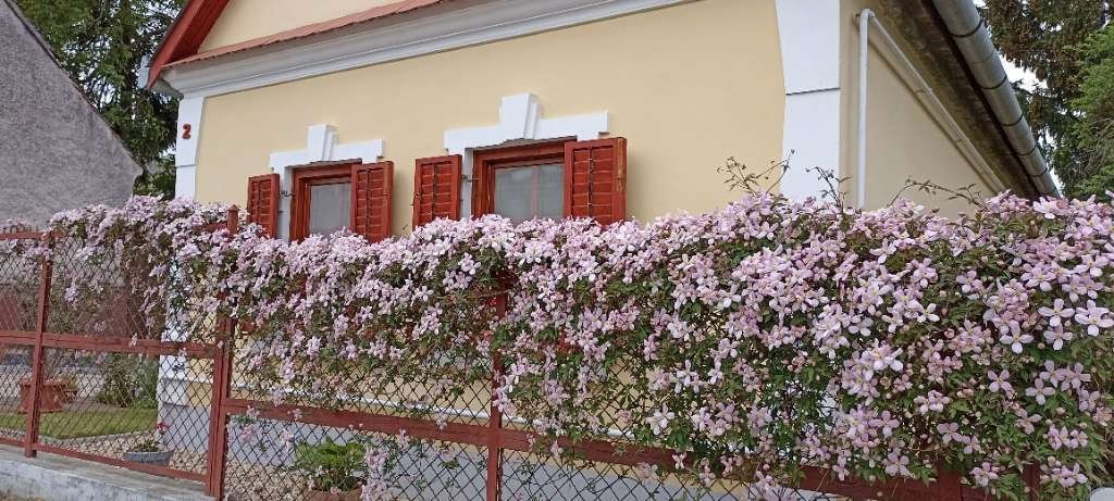Lovingly renovated farmhouse in a quiet location with separate apartment (AAA) – Búcsúszentlászló, photo 35 of 42