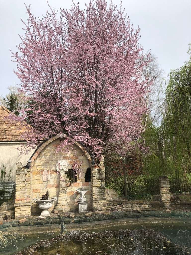 Een bijzonder panoramisch huis langs de Donau. – Koppánymonostor, foto 6 van 25