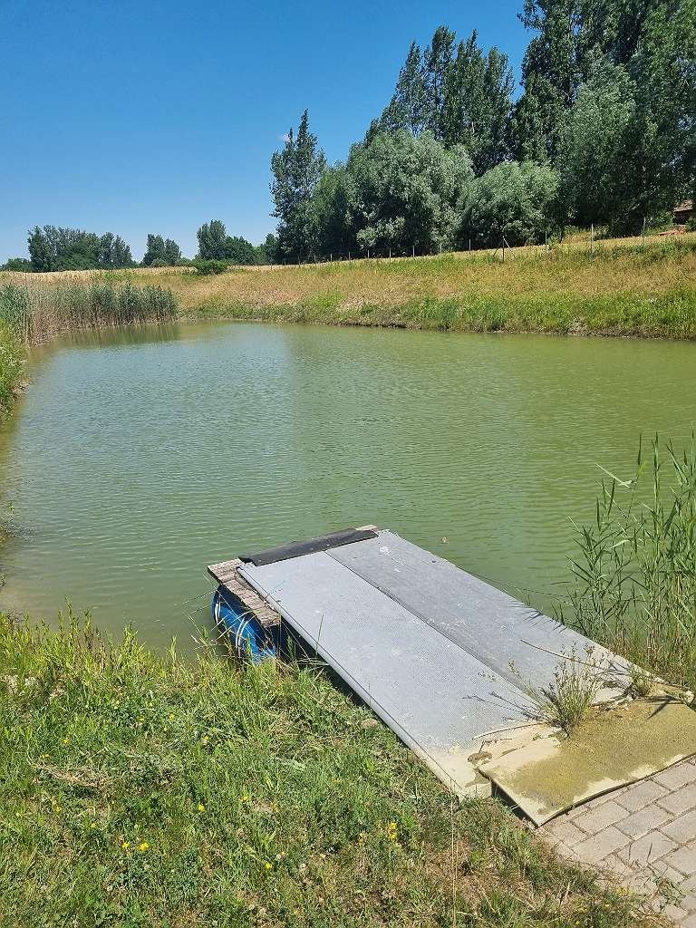 2 Einfamilienhäuser mit großem Grundstück und Badeteich – Dunasziget, Bild 3 von 33