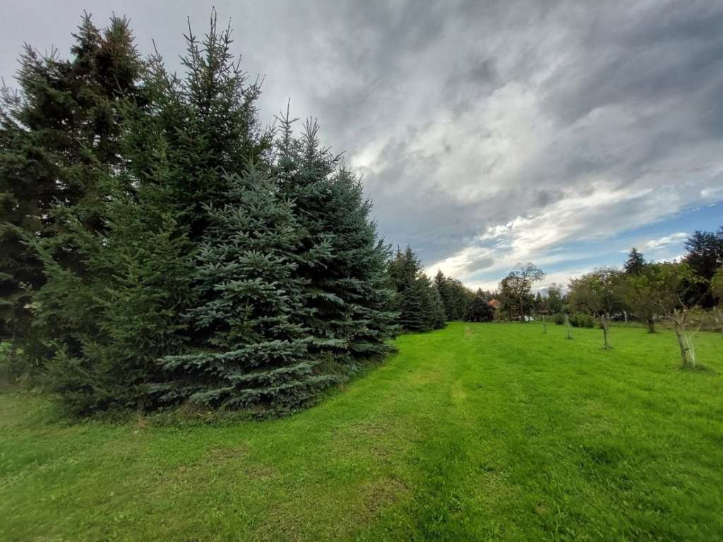 (AAAB) Nieuw gerenoveerd landhuis nabij Oostenrijk met groot perceel voor zelfverzorging – Felsömarac, foto 4 van 41