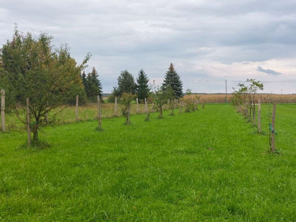 (AAAB) Nieuw gerenoveerd landhuis nabij Oostenrijk met groot perceel voor zelfverzorging – Felsömarac, foto 5 van 41