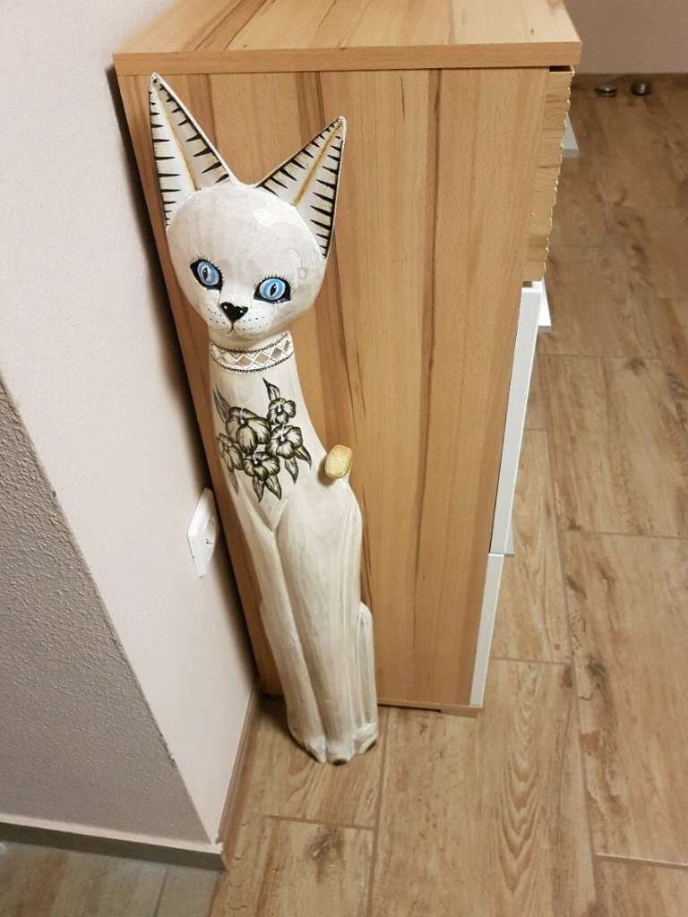 (AAAB) Nieuw gerenoveerd landhuis nabij Oostenrijk met groot perceel voor zelfverzorging – Felsömarac, foto 10 van 41