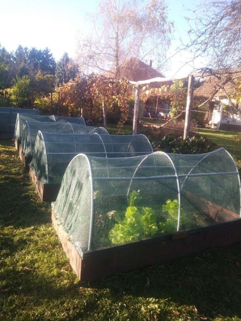 (AAAB) Nieuw gerenoveerd landhuis nabij Oostenrijk met groot perceel voor zelfverzorging – Felsömarac, foto 35 van 41