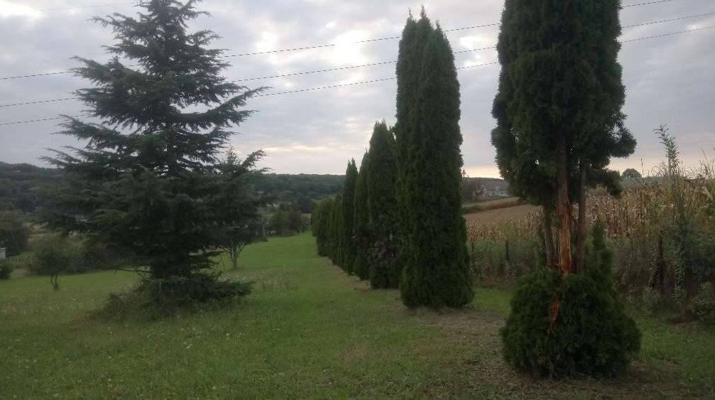 xxxIdyllisch eigendom aan de Oostenrijks-Hongaarse grens – bei Lenti, foto 6 van 24