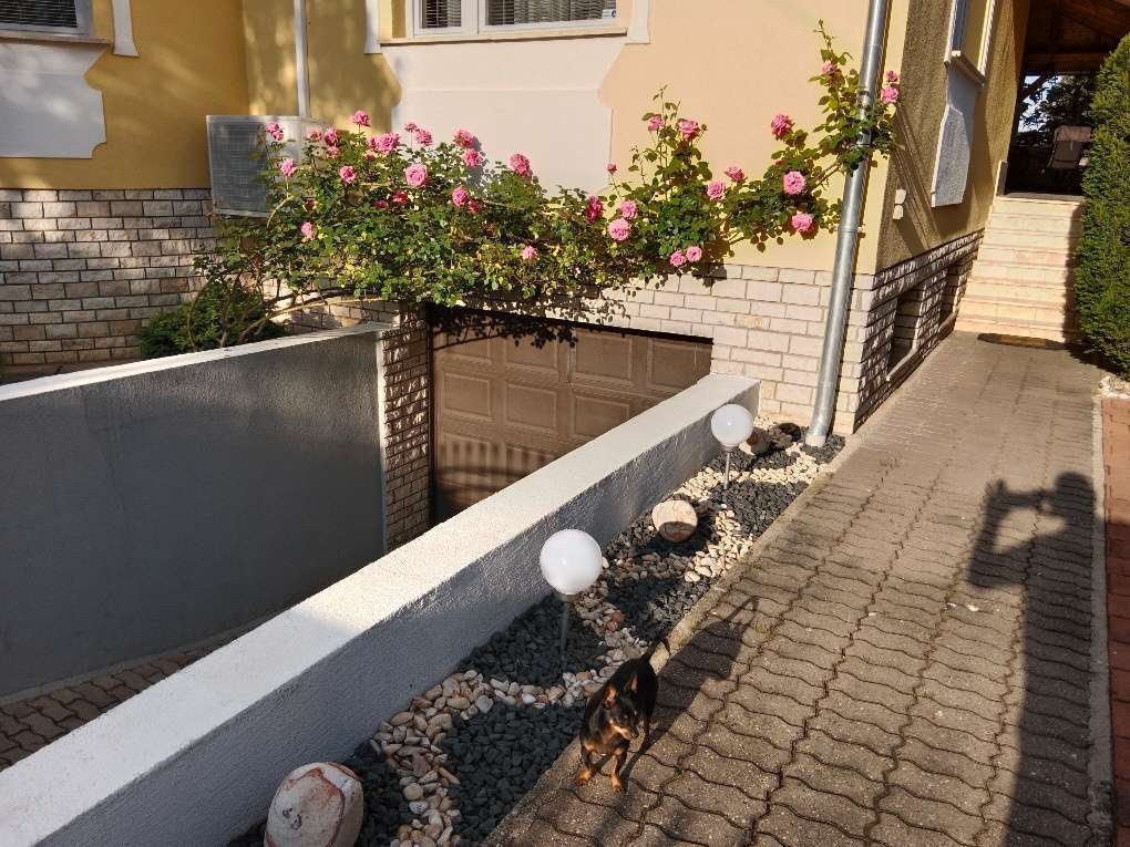 (AAA) Impozáns villa álomszerű helyen, a világhírű Hévíz gyógyfürdőváros közelében, 6/42. kép