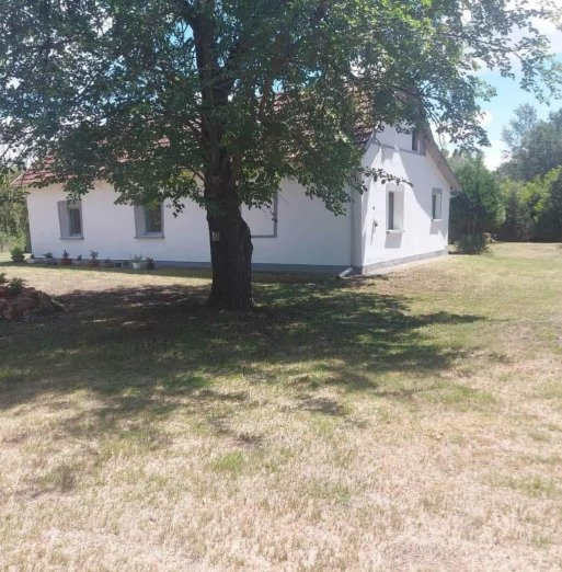 Country house in southern Hungary - large property, quiet, on the edge of the forest – Ruzsa, photo 2 of 19