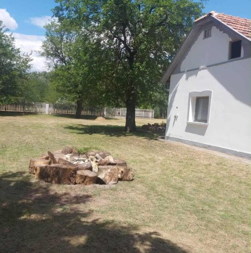 Country house in southern Hungary - large property, quiet, on the edge of the forest – Ruzsa, photo 4 of 19