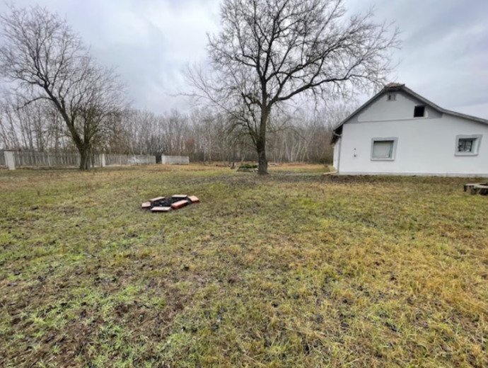 Country house in southern Hungary - large property, quiet, on the edge of the forest – Ruzsa, photo 19 of 19