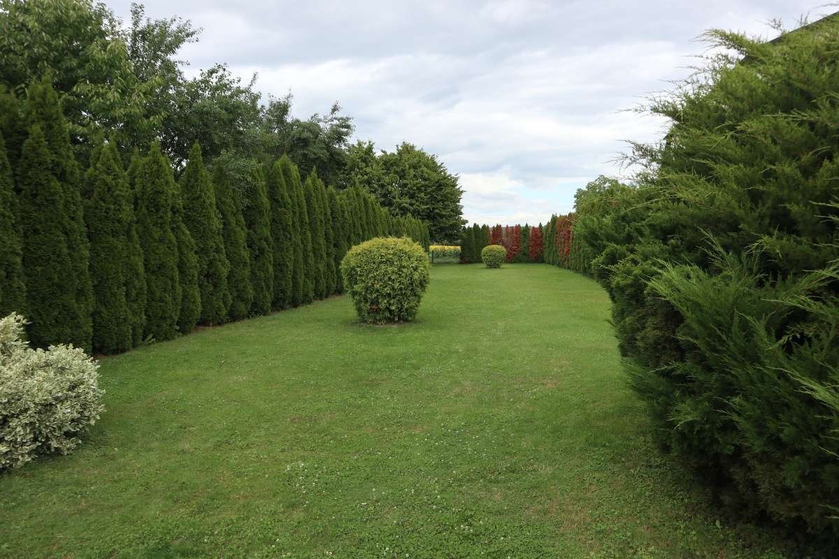 (AAA) Attractively renovated house near the border with Austria – Szentgotthárd, photo 2 of 19