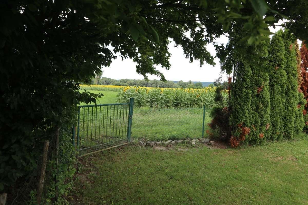 (AAA) Attractively renovated house near the border with Austria – Szentgotthárd, photo 16 of 19