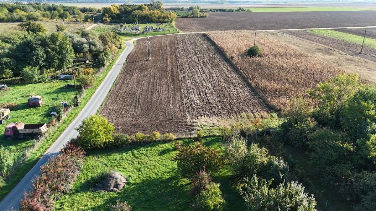 (AAA) Vielfältige Nutzungs-Möglichkeiten bei Österreich – Szakony, Bild 18 von 27