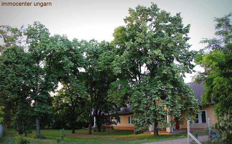 (AAA) Absolute Seltenheit: Originalgetreu renoviertes Herrenhaus aus 1860 – bei Bikács, Bild 22 von 28