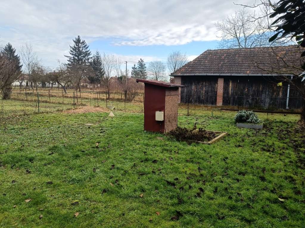 -, photo 30 of 38