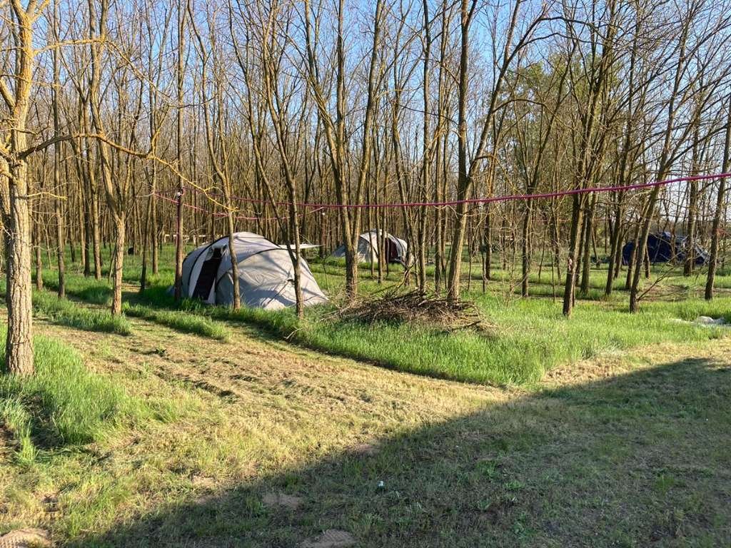 (BBA) 5 Pinzen / Häuser auf großem Grundstück in Alleinlage – Tiszaalpar, Bild 2 von 28