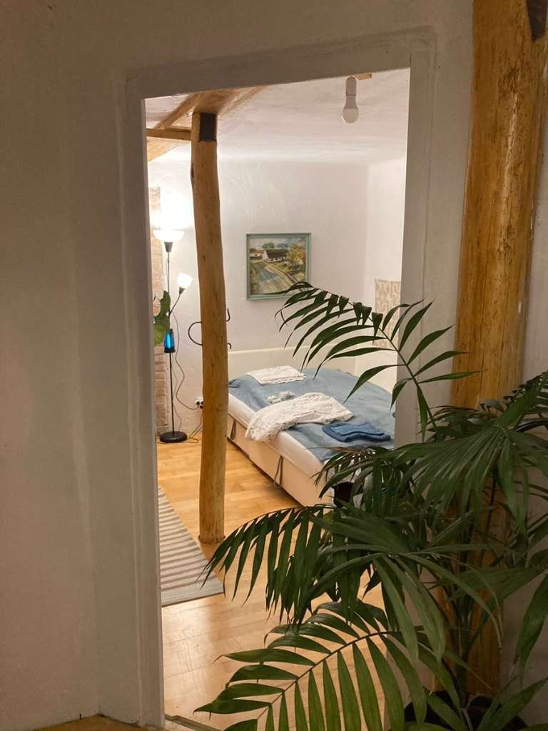 (BBA) 5 Pinzen / Häuser auf großem Grundstück in Alleinlage – Tiszaalpar, Bild 10 von 28