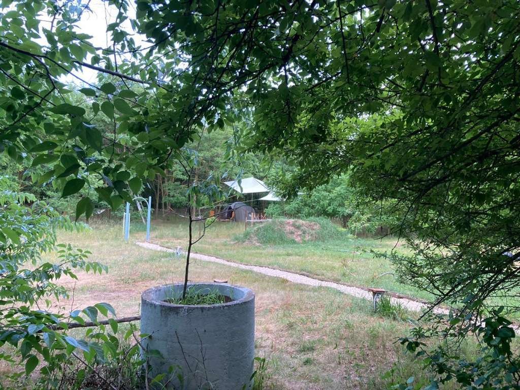 (BBA) 5 Pinzen / Häuser auf großem Grundstück in Alleinlage – Tiszaalpar, Bild 23 von 28