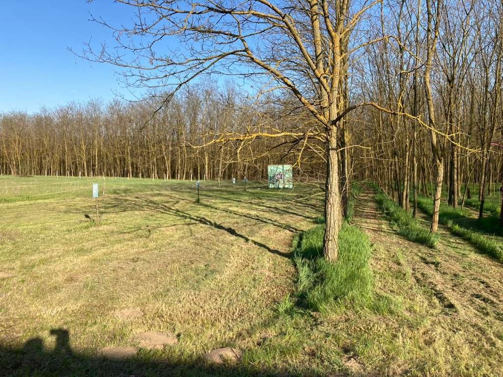 (BBA) 5 Pinzen / Häuser auf großem Grundstück in Alleinlage – Tiszaalpar, Bild 27 von 28