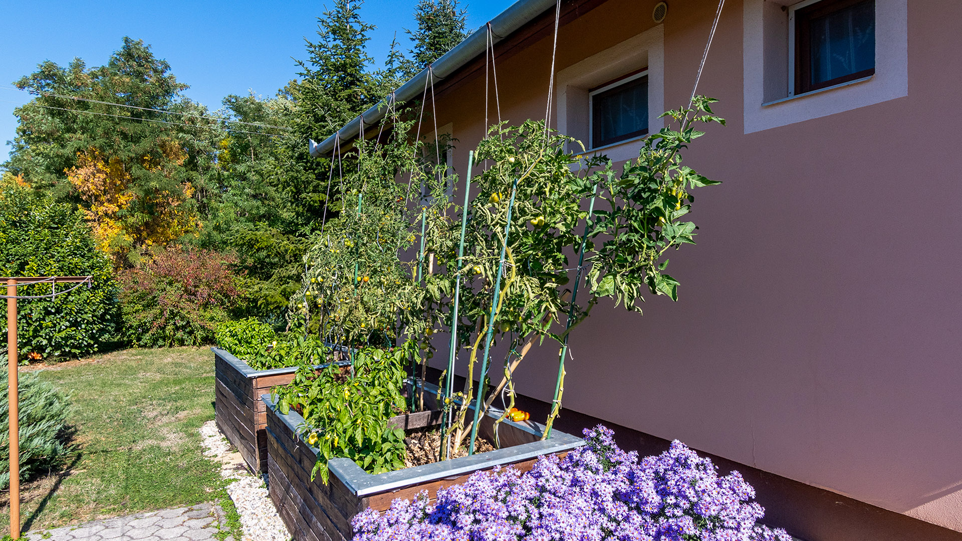 (BAA) Gepflegtes Einfamilienhaus mit schön angelegtem Grundstück und Garage! – Zalacsány, foto 12 van 20